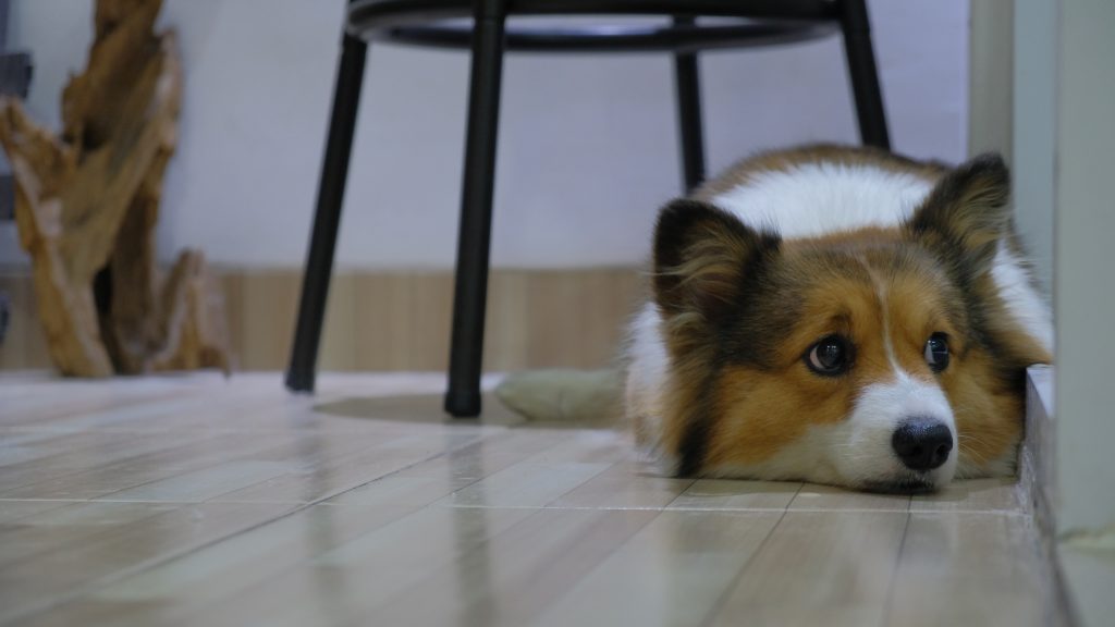 Caramel