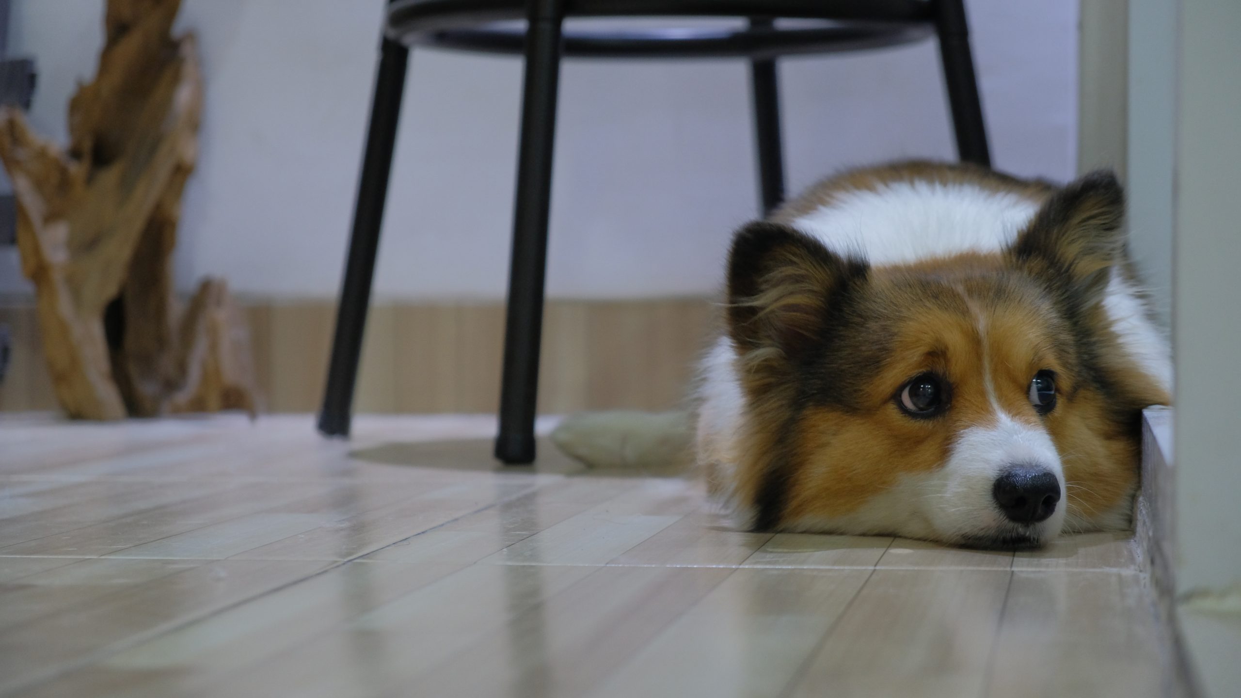 Caramel
