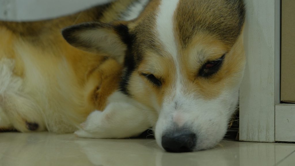 Sleepin Beauty
