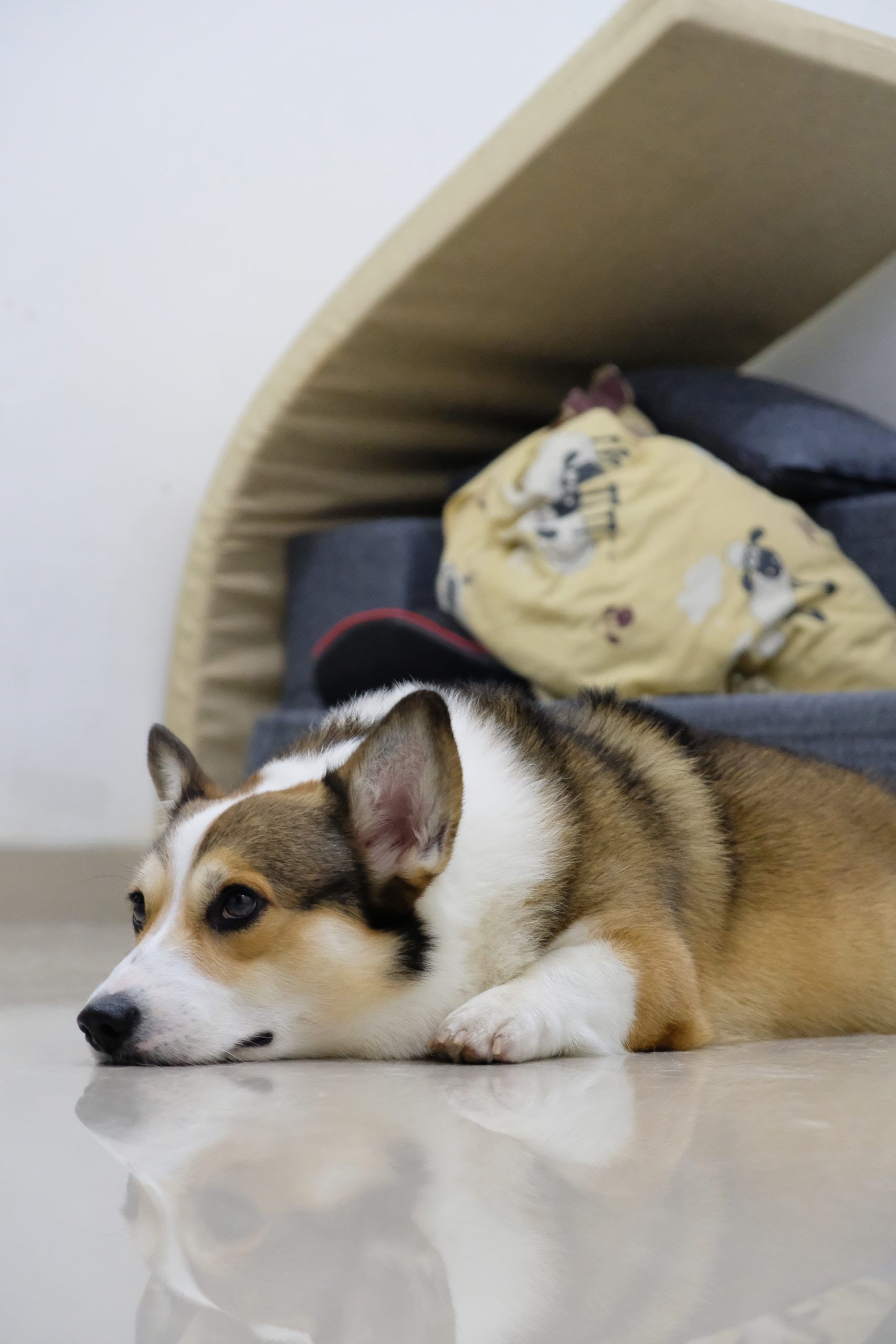 Cozy Hazelnut