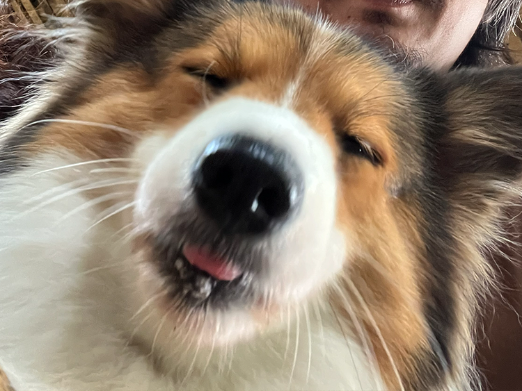 Caramel happily with the family