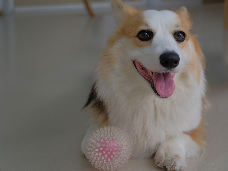 Irish with the Ball